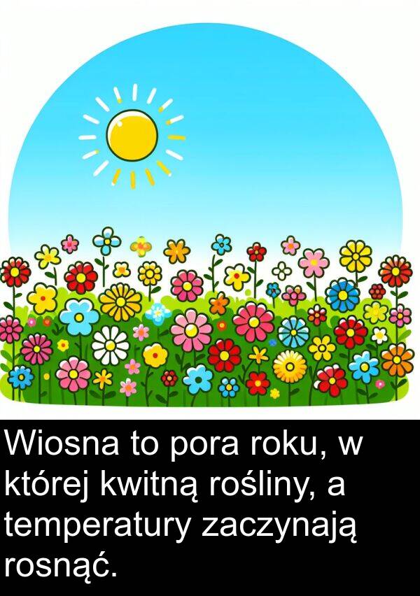 zaczynają: Wiosna to pora roku, w której kwitną rośliny, a temperatury zaczynają rosnąć.