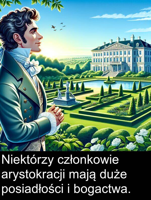 mają: Niektórzy członkowie arystokracji mają duże posiadłości i bogactwa.