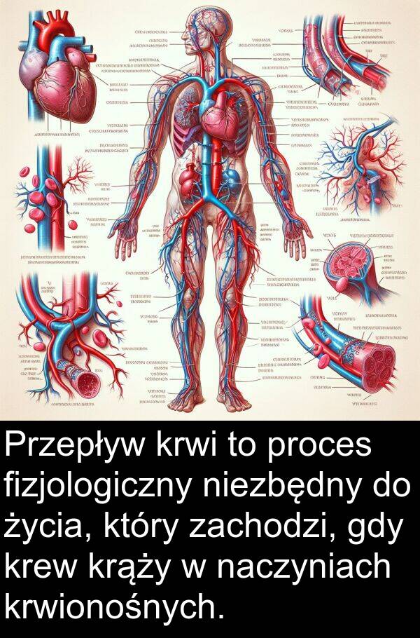 zachodzi: Przepływ krwi to proces fizjologiczny niezbędny do życia, który zachodzi, gdy krew krąży w naczyniach krwionośnych.