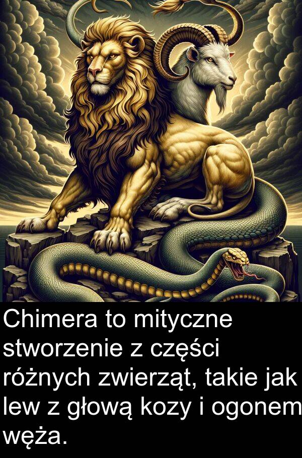 głową: Chimera to mityczne stworzenie z części różnych zwierząt, takie jak lew z głową kozy i ogonem węża.