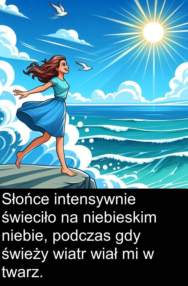 intensywnie: Słońce intensywnie świeciło na niebieskim niebie, podczas gdy świeży wiatr wiał mi w twarz.