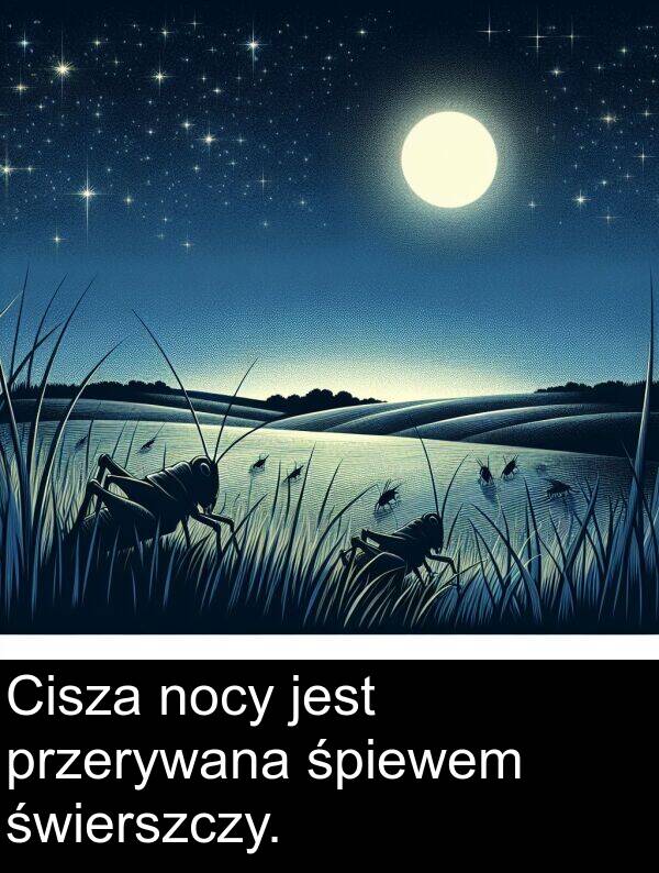 nocy: Cisza nocy jest przerywana śpiewem świerszczy.