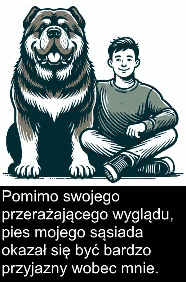 sąsiada: Pomimo swojego przerażającego wyglądu, pies mojego sąsiada okazał się być bardzo przyjazny wobec mnie.