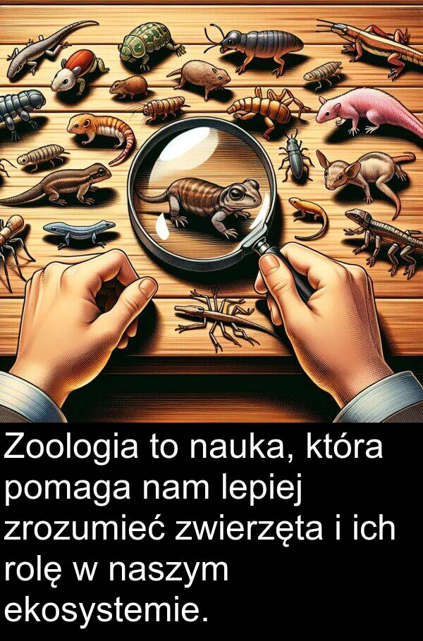 lepiej: Zoologia to nauka, która pomaga nam lepiej zrozumieć zwierzęta i ich rolę w naszym ekosystemie.