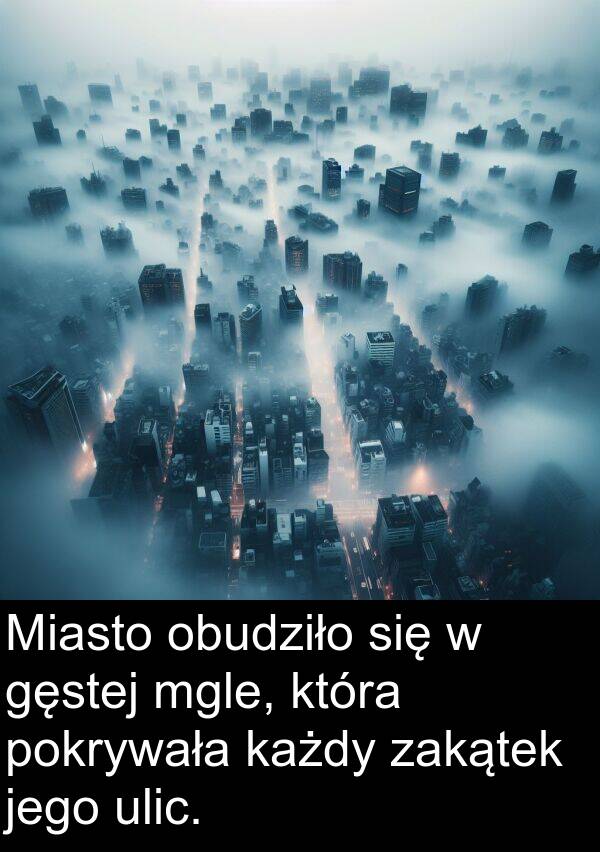 ulic: Miasto obudziło się w gęstej mgle, która pokrywała każdy zakątek jego ulic.