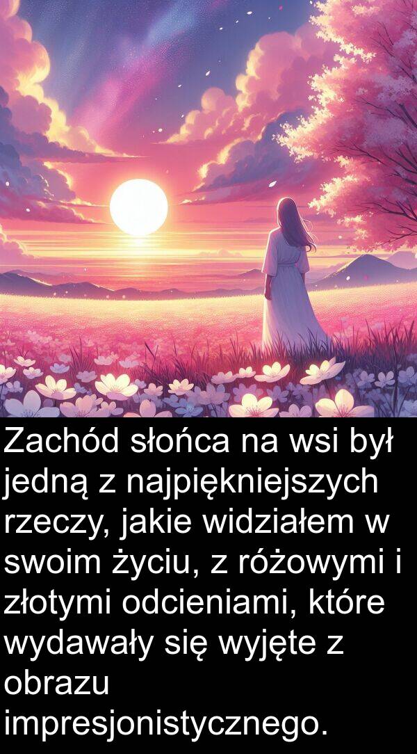 jedną: Zachód słońca na wsi był jedną z najpiękniejszych rzeczy, jakie widziałem w swoim życiu, z różowymi i złotymi odcieniami, które wydawały się wyjęte z obrazu impresjonistycznego.