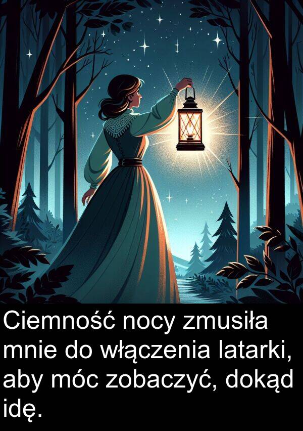 latarki: Ciemność nocy zmusiła mnie do włączenia latarki, aby móc zobaczyć, dokąd idę.