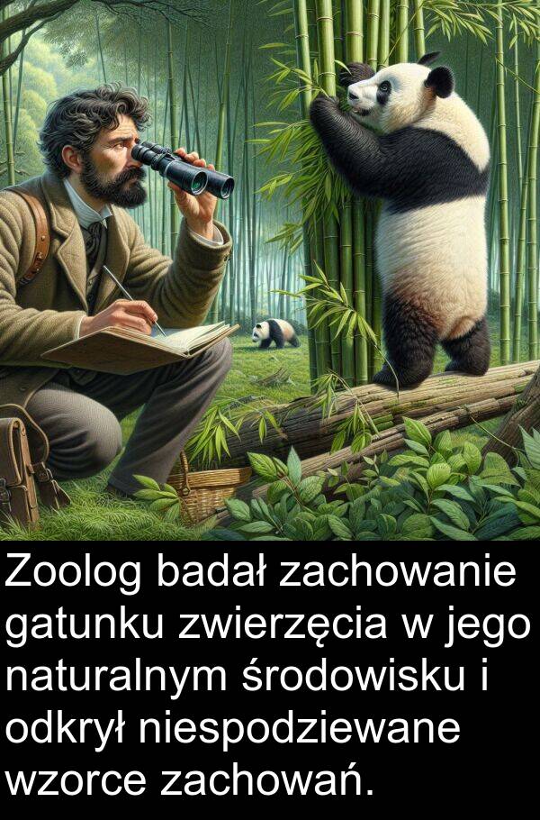 gatunku: Zoolog badał zachowanie gatunku zwierzęcia w jego naturalnym środowisku i odkrył niespodziewane wzorce zachowań.