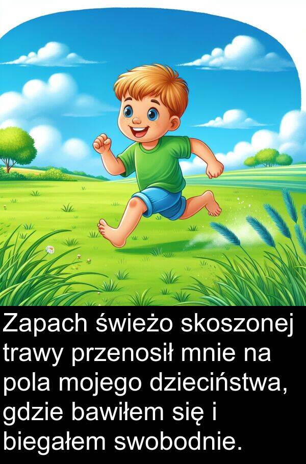 świeżo: Zapach świeżo skoszonej trawy przenosił mnie na pola mojego dzieciństwa, gdzie bawiłem się i biegałem swobodnie.