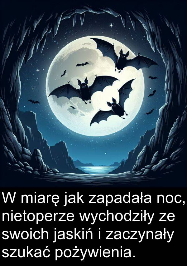 zaczynały: W miarę jak zapadała noc, nietoperze wychodziły ze swoich jaskiń i zaczynały szukać pożywienia.