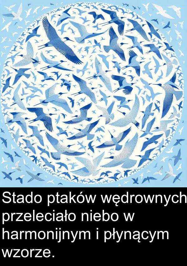 ptaków: Stado ptaków wędrownych przeleciało niebo w harmonijnym i płynącym wzorze.