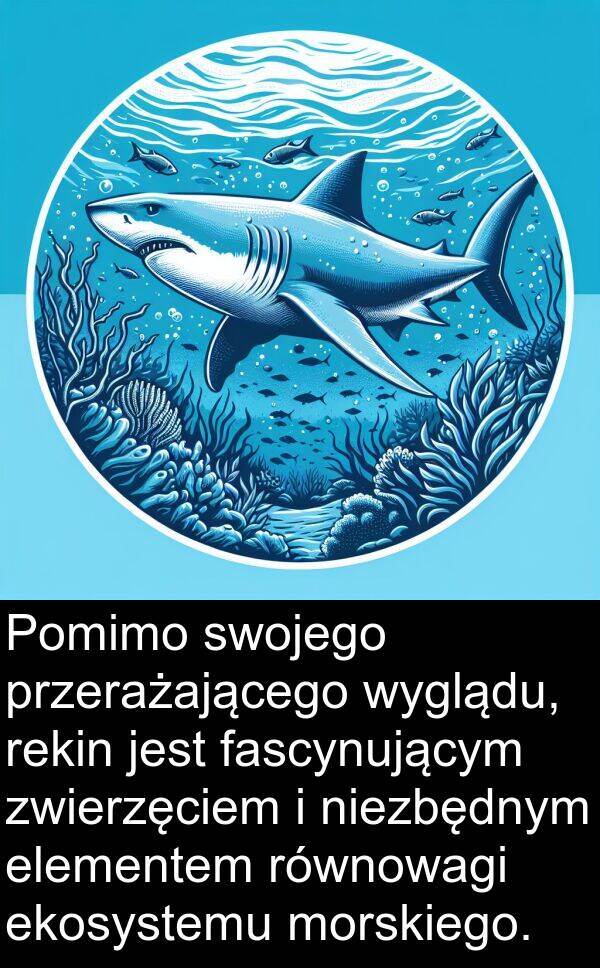 ekosystemu: Pomimo swojego przerażającego wyglądu, rekin jest fascynującym zwierzęciem i niezbędnym elementem równowagi ekosystemu morskiego.