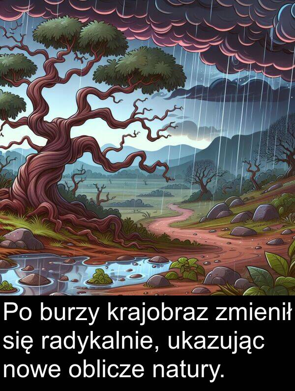 oblicze: Po burzy krajobraz zmienił się radykalnie, ukazując nowe oblicze natury.