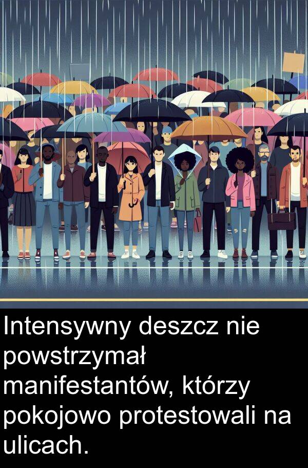 ulicach: Intensywny deszcz nie powstrzymał manifestantów, którzy pokojowo protestowali na ulicach.