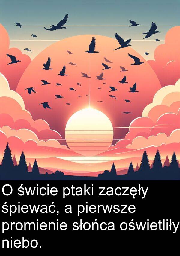 zaczęły: O świcie ptaki zaczęły śpiewać, a pierwsze promienie słońca oświetliły niebo.