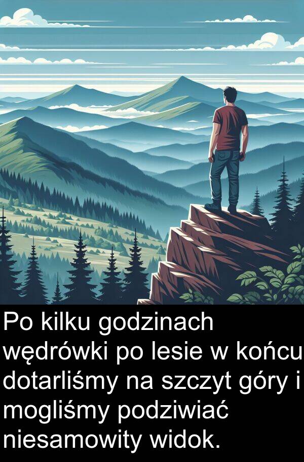 kilku: Po kilku godzinach wędrówki po lesie w końcu dotarliśmy na szczyt góry i mogliśmy podziwiać niesamowity widok.