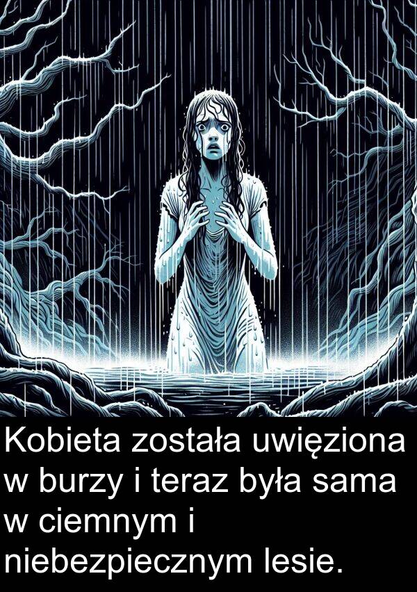 lesie: Kobieta została uwięziona w burzy i teraz była sama w ciemnym i niebezpiecznym lesie.