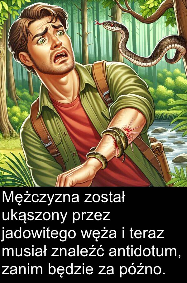 będzie: Mężczyzna został ukąszony przez jadowitego węża i teraz musiał znaleźć antidotum, zanim będzie za późno.