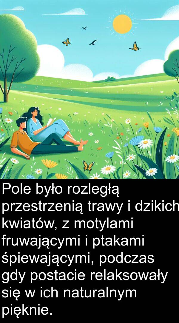 dzikich: Pole było rozległą przestrzenią trawy i dzikich kwiatów, z motylami fruwającymi i ptakami śpiewającymi, podczas gdy postacie relaksowały się w ich naturalnym pięknie.