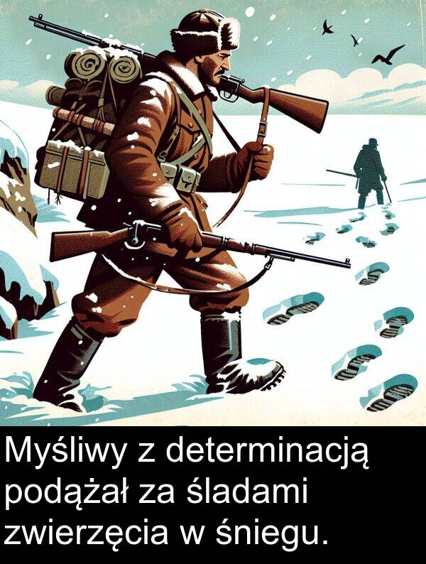 zwierzęcia: Myśliwy z determinacją podążał za śladami zwierzęcia w śniegu.