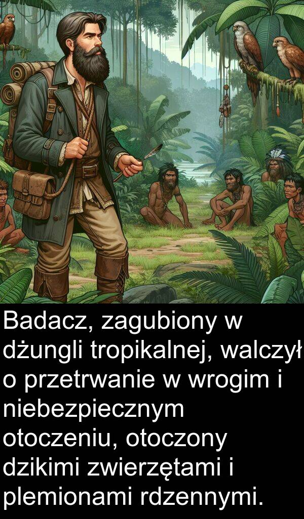 dżungli: Badacz, zagubiony w dżungli tropikalnej, walczył o przetrwanie w wrogim i niebezpiecznym otoczeniu, otoczony dzikimi zwierzętami i plemionami rdzennymi.