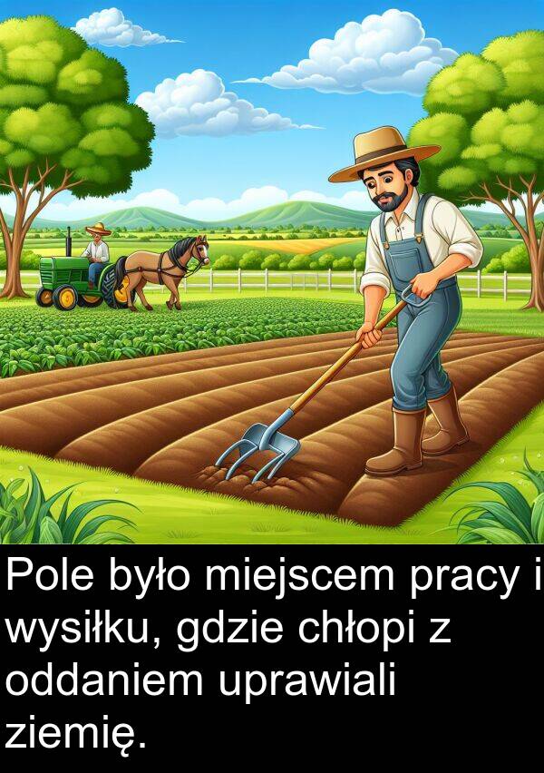 gdzie: Pole było miejscem pracy i wysiłku, gdzie chłopi z oddaniem uprawiali ziemię.