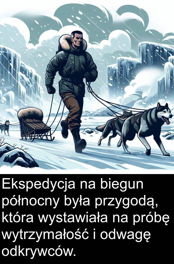 biegun: Ekspedycja na biegun północny była przygodą, która wystawiała na próbę wytrzymałość i odwagę odkrywców.