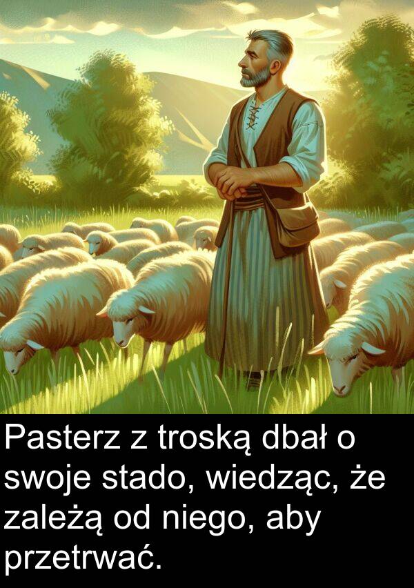 dbał: Pasterz z troską dbał o swoje stado, wiedząc, że zależą od niego, aby przetrwać.