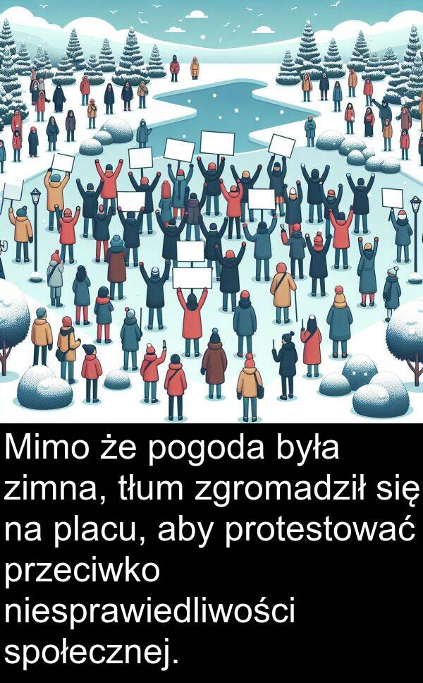 zimna: Mimo że pogoda była zimna, tłum zgromadził się na placu, aby protestować przeciwko niesprawiedliwości społecznej.