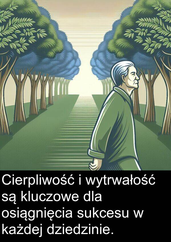 dziedzinie: Cierpliwość i wytrwałość są kluczowe dla osiągnięcia sukcesu w każdej dziedzinie.