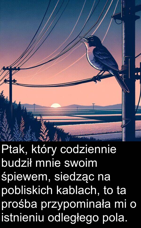 siedząc: Ptak, który codziennie budził mnie swoim śpiewem, siedząc na pobliskich kablach, to ta prośba przypominała mi o istnieniu odległego pola.