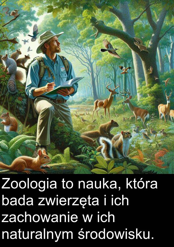 zachowanie: Zoologia to nauka, która bada zwierzęta i ich zachowanie w ich naturalnym środowisku.