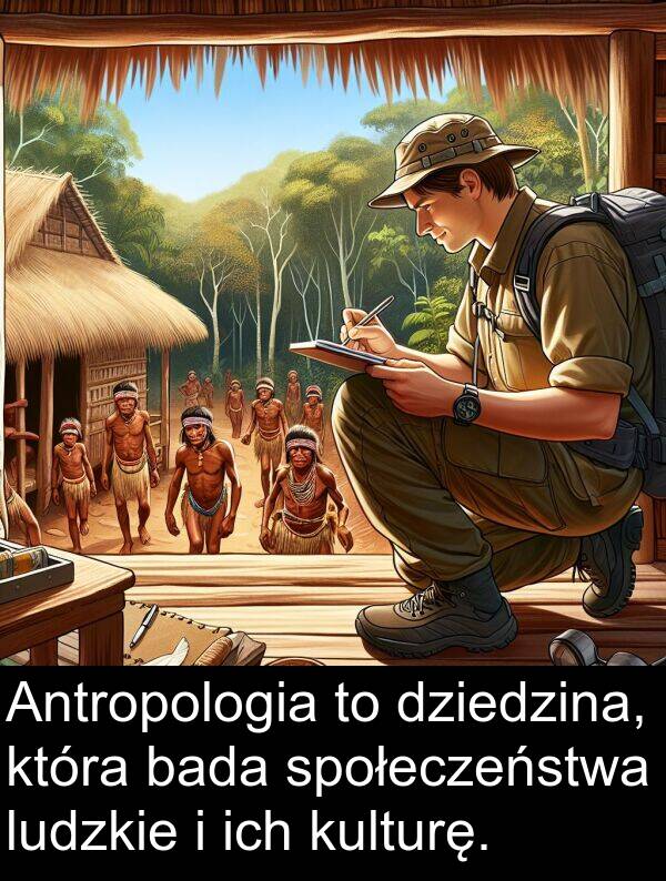 dziedzina: Antropologia to dziedzina, która bada społeczeństwa ludzkie i ich kulturę.