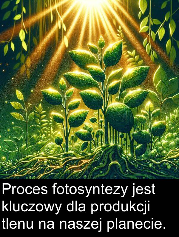 fotosyntezy: Proces fotosyntezy jest kluczowy dla produkcji tlenu na naszej planecie.