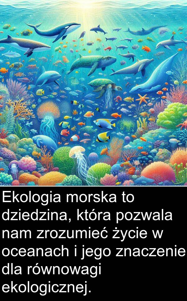 dziedzina: Ekologia morska to dziedzina, która pozwala nam zrozumieć życie w oceanach i jego znaczenie dla równowagi ekologicznej.