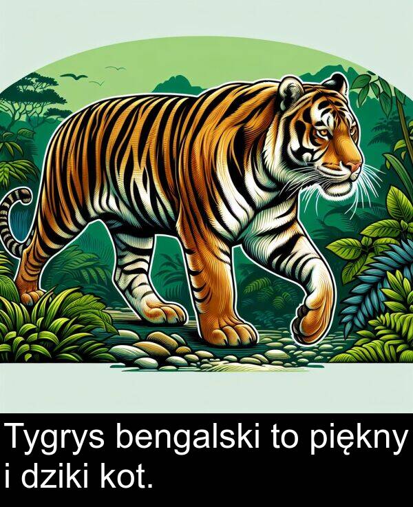 dziki: Tygrys bengalski to piękny i dziki kot.