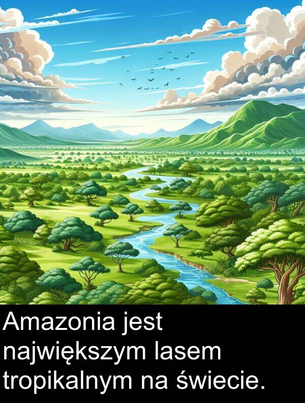 lasem: Amazonia jest największym lasem tropikalnym na świecie.