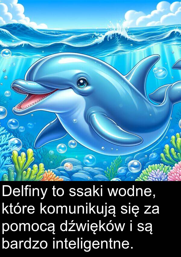 inteligentne: Delfiny to ssaki wodne, które komunikują się za pomocą dźwięków i są bardzo inteligentne.