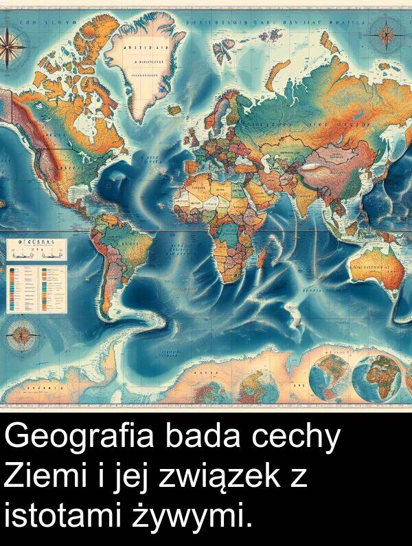 cechy: Geografia bada cechy Ziemi i jej związek z istotami żywymi.