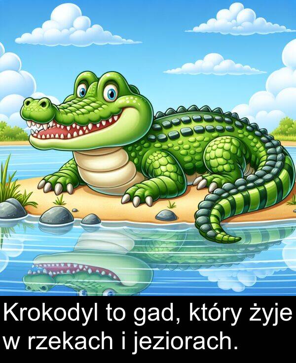 gad: Krokodyl to gad, który żyje w rzekach i jeziorach.