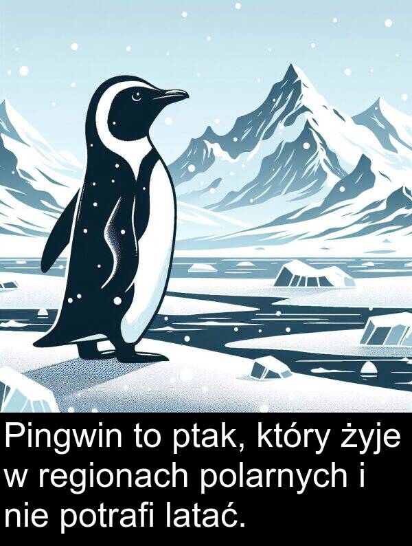 latać: Pingwin to ptak, który żyje w regionach polarnych i nie potrafi latać.