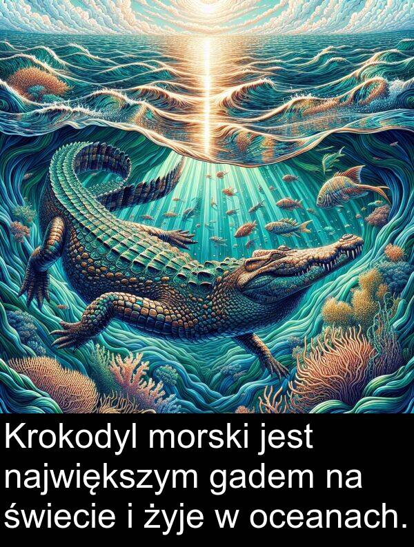 gadem: Krokodyl morski jest największym gadem na świecie i żyje w oceanach.