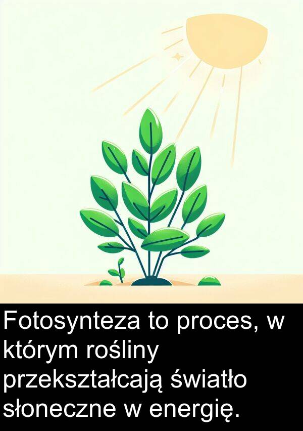 energię: Fotosynteza to proces, w którym rośliny przekształcają światło słoneczne w energię.