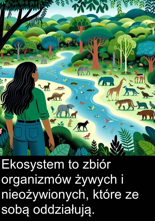 żywych: Ekosystem to zbiór organizmów żywych i nieożywionych, które ze sobą oddziałują.