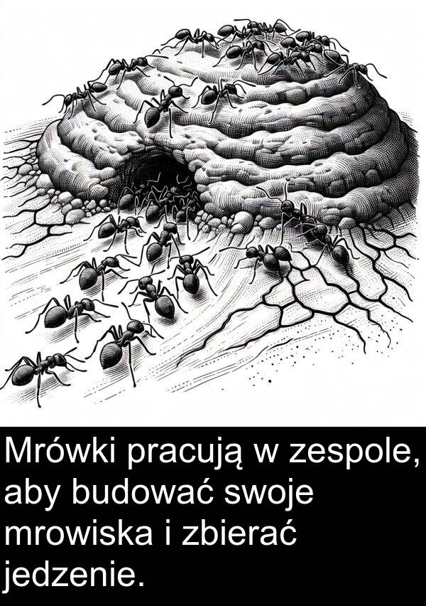 jedzenie: Mrówki pracują w zespole, aby budować swoje mrowiska i zbierać jedzenie.