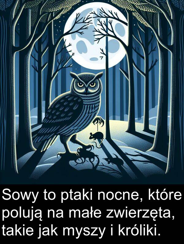 małe: Sowy to ptaki nocne, które polują na małe zwierzęta, takie jak myszy i króliki.