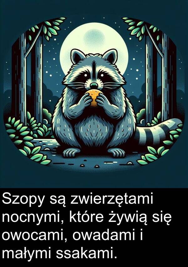 małymi: Szopy są zwierzętami nocnymi, które żywią się owocami, owadami i małymi ssakami.