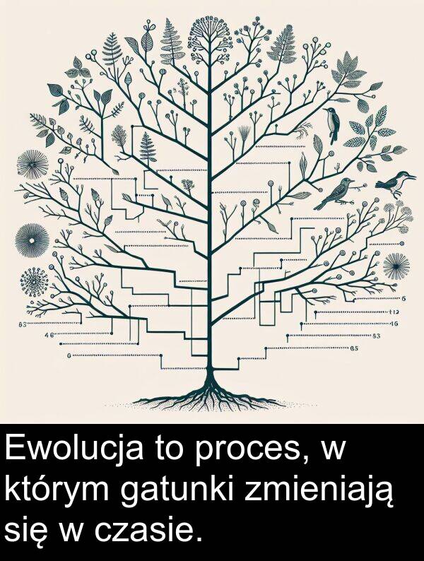 gatunki: Ewolucja to proces, w którym gatunki zmieniają się w czasie.
