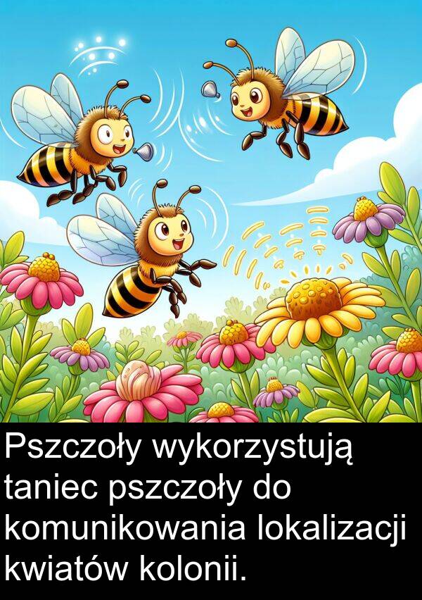 lokalizacji: Pszczoły wykorzystują taniec pszczoły do komunikowania lokalizacji kwiatów kolonii.