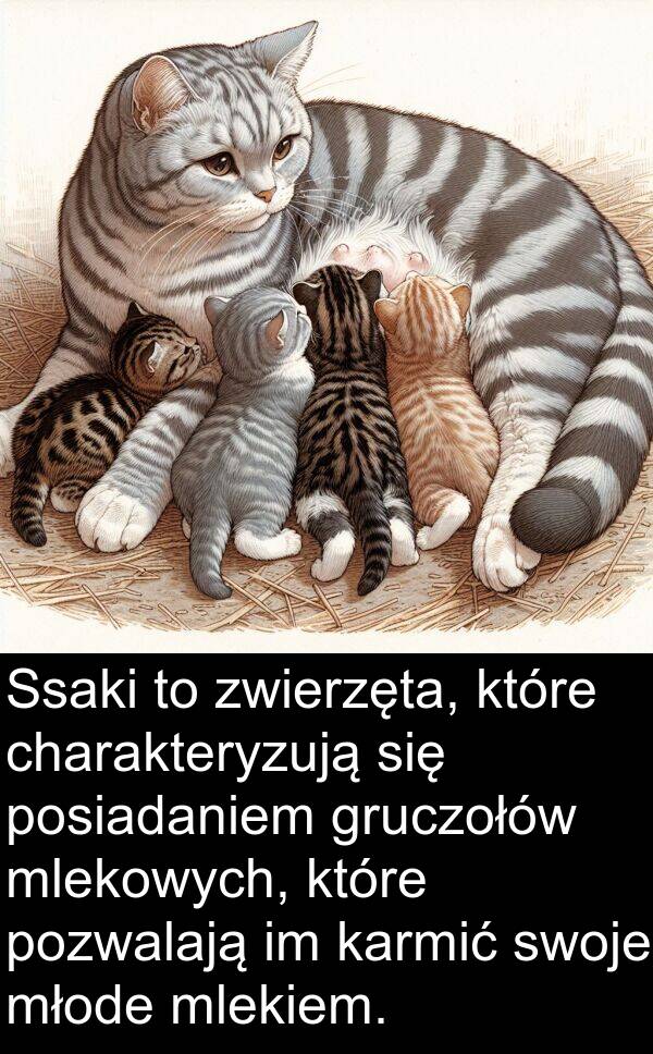 charakteryzują: Ssaki to zwierzęta, które charakteryzują się posiadaniem gruczołów mlekowych, które pozwalają im karmić swoje młode mlekiem.